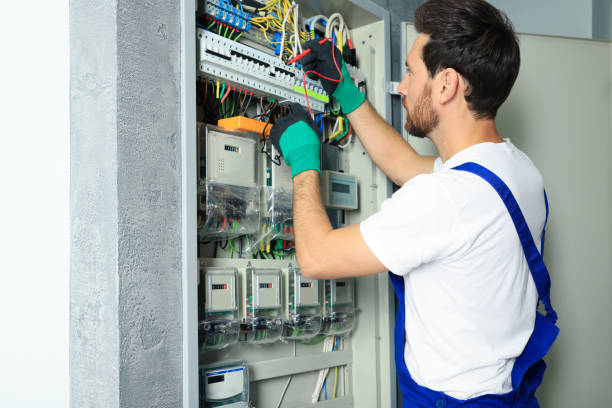 Best Ceiling Fan Installation Electrician  in Jonesboro, IL